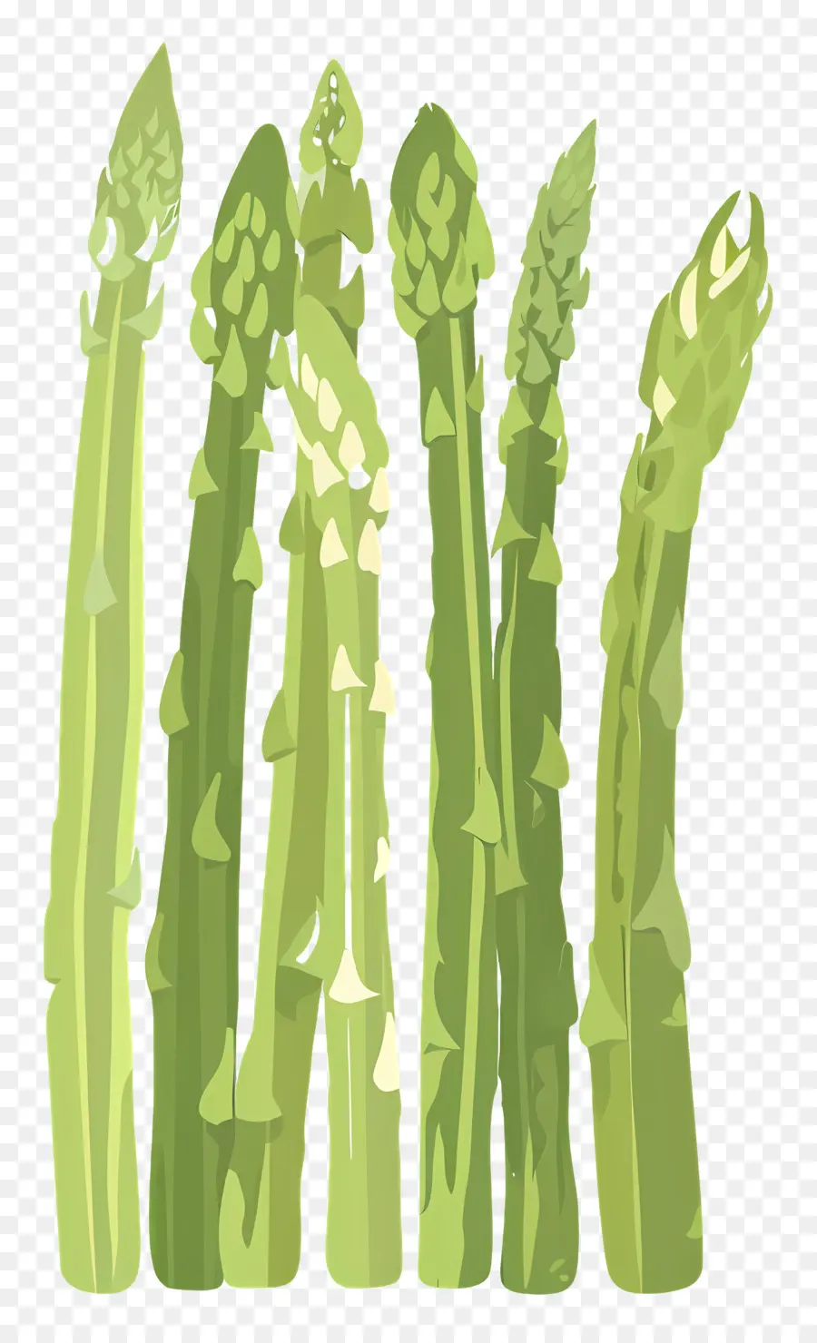 Asperge，Vert PNG