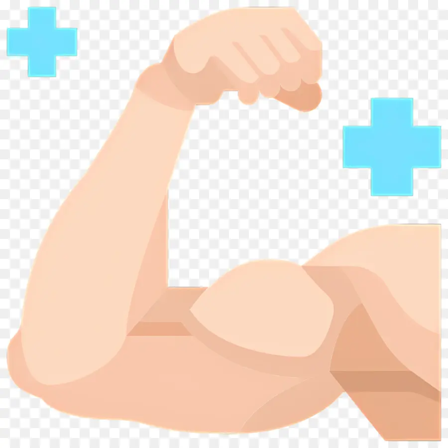 Muscle，Bras Fort PNG