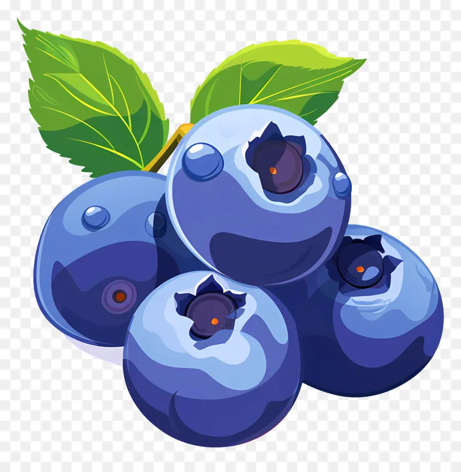 Myrtille，Bleuets PNG