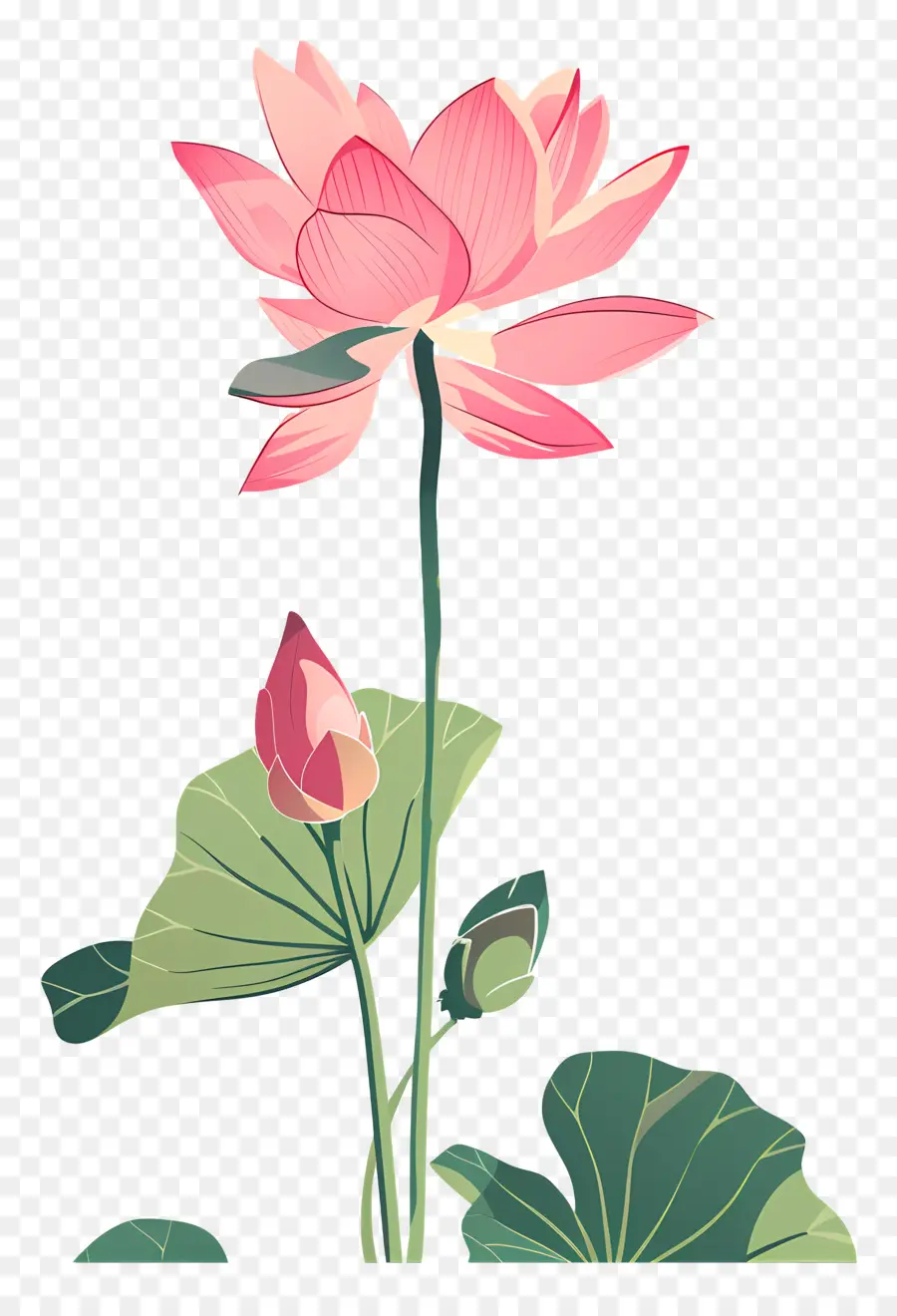 Lotus，Lotus Rose PNG