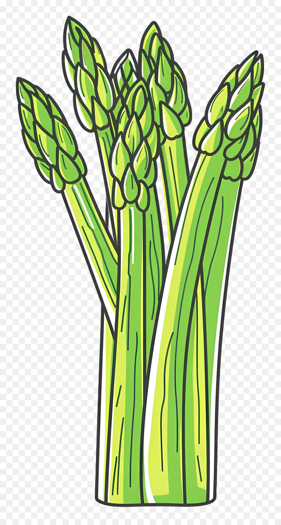 Asperge，Vert PNG