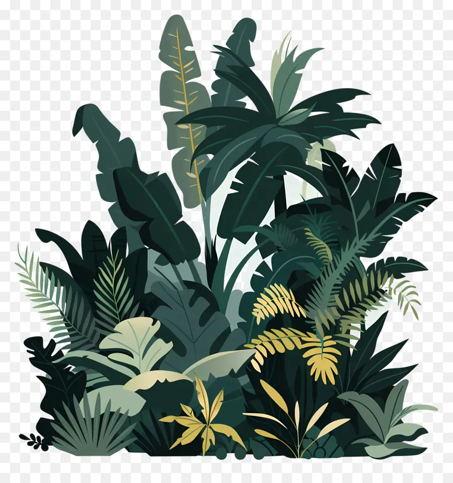 Jungle，Feuillage PNG