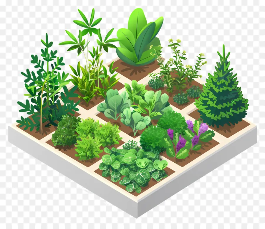 Jardin D'herbes Aromatiques，Jardin PNG