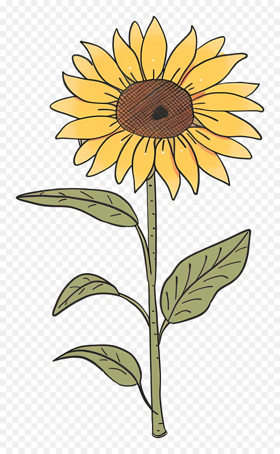 Griffonnage Tournesol，Tournesol PNG