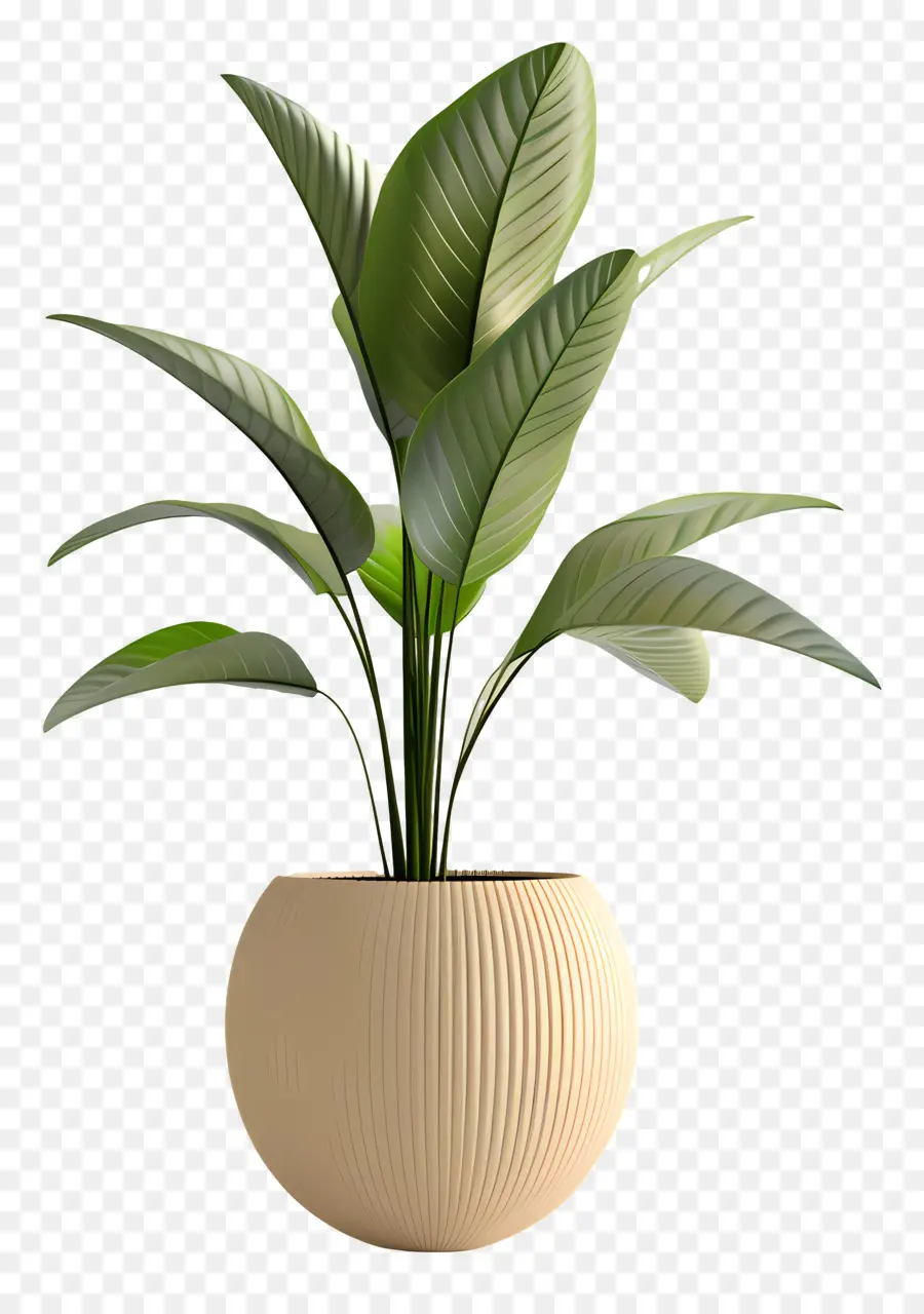 Plante Verte，Plante En Pot PNG