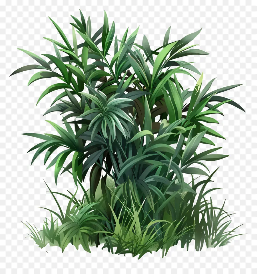 Arbuste Vert，Bush PNG
