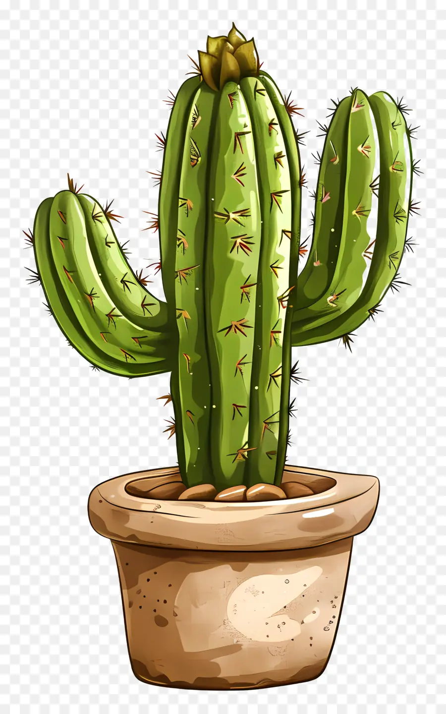 Cactus，Succulent PNG