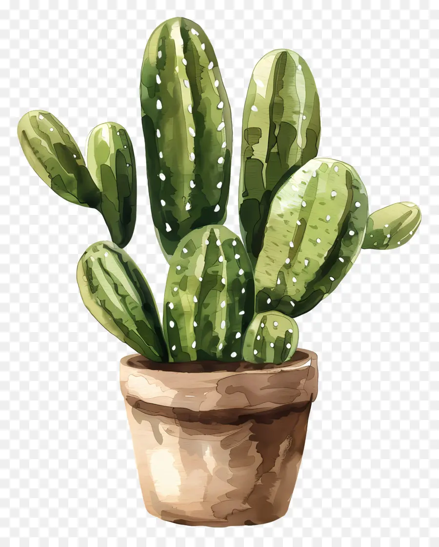 Cactus，Pot En Argile PNG