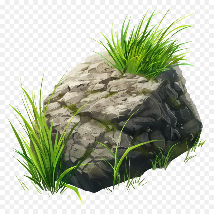 Rock，Le Vert De L'herbe PNG