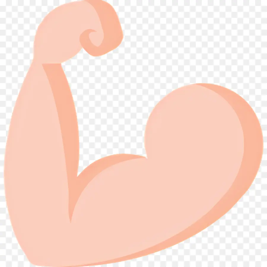 Muscle，Biceps PNG