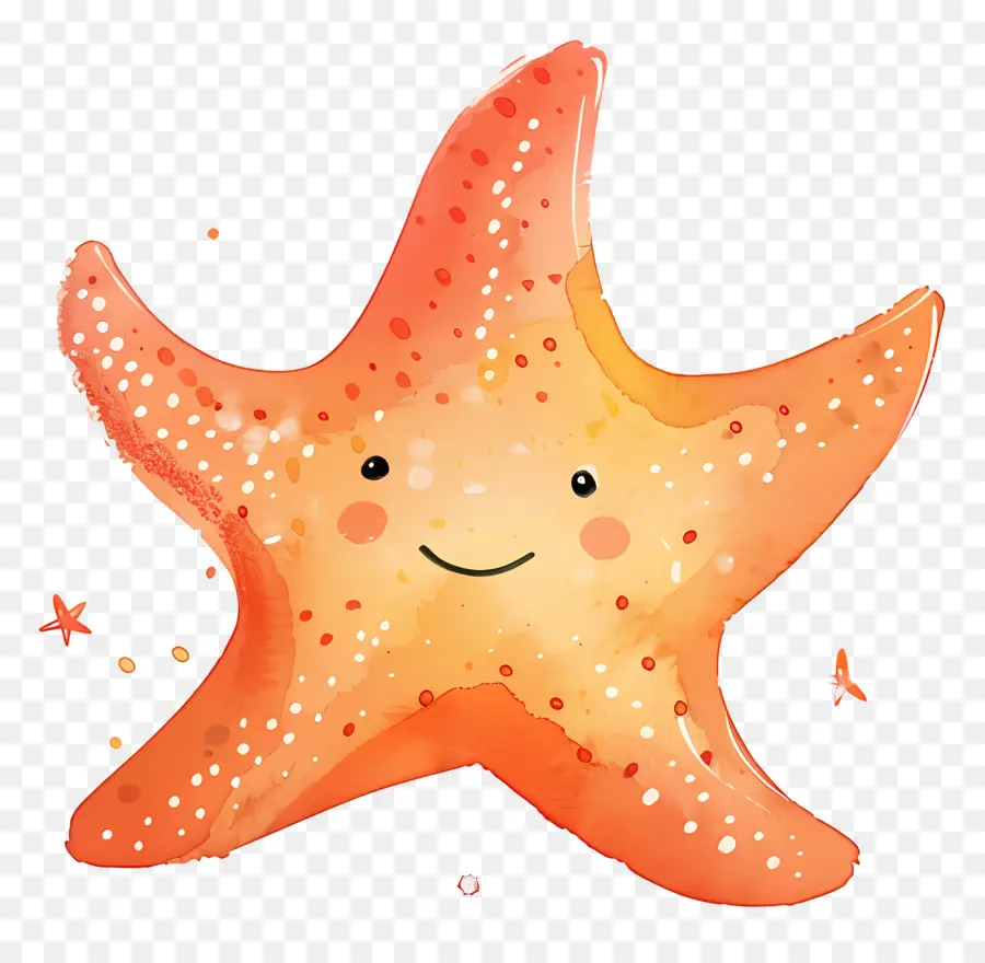 Étoile De Mer，Étoile De Mer Souriante PNG