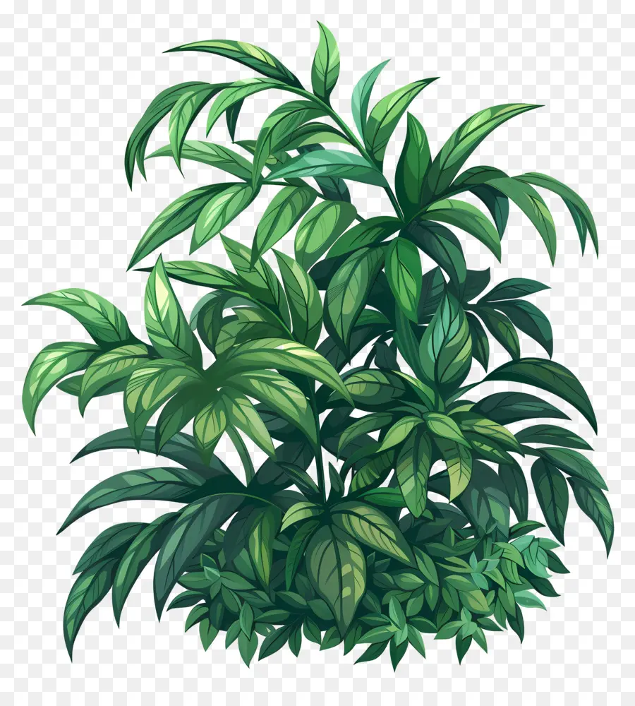 Arbuste Vert，Plantes Tropicales PNG