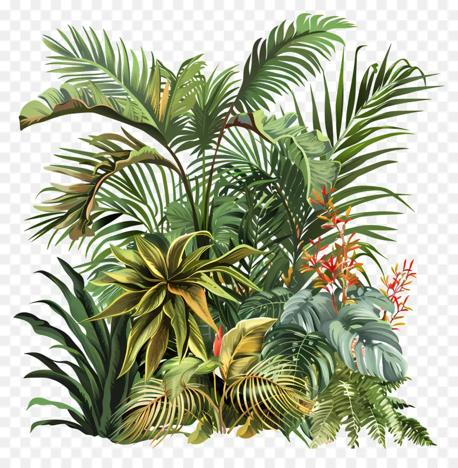 Jungle De Plantes，La Forêt Tropicale PNG