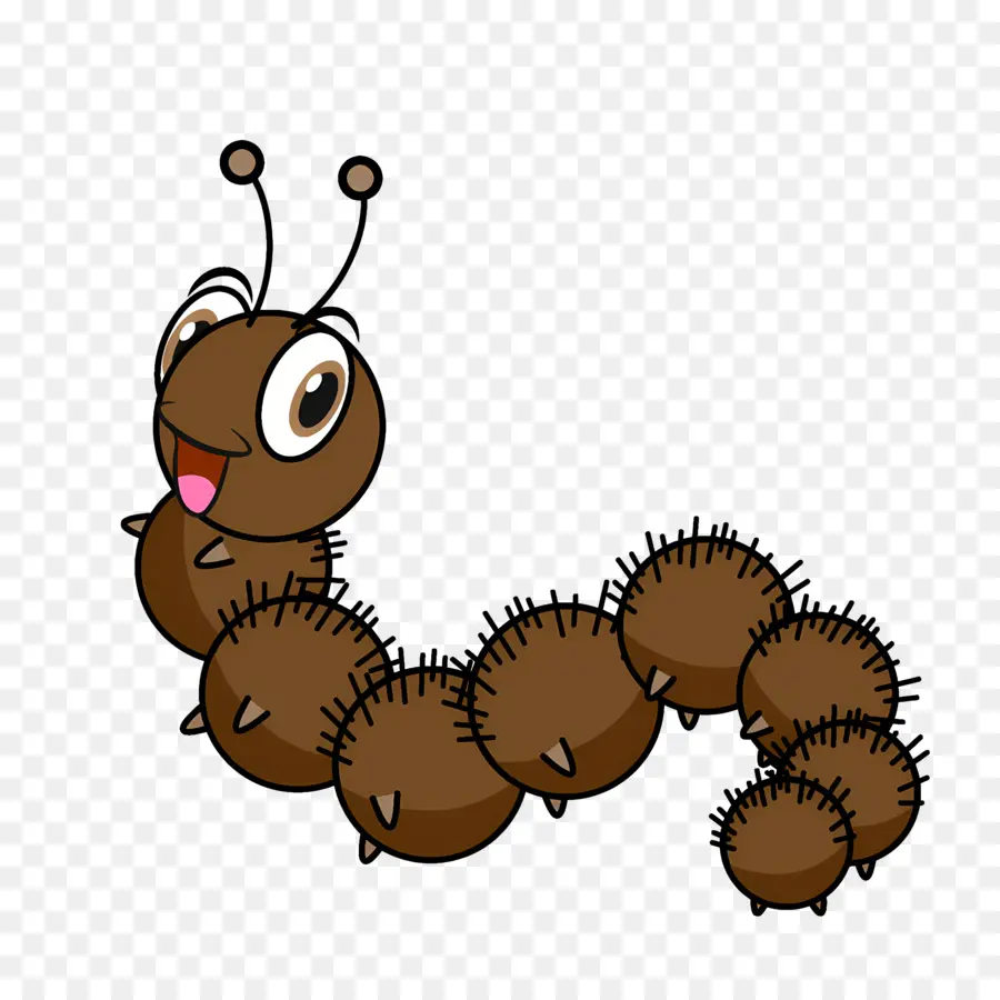 Dessin Animé Caterpillar，Dessin Animé Spider PNG