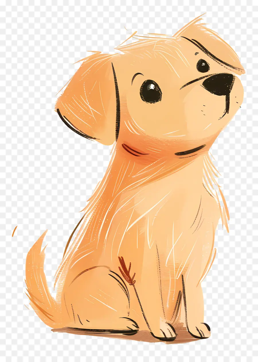 Doodle Chien，Golden Retriever PNG