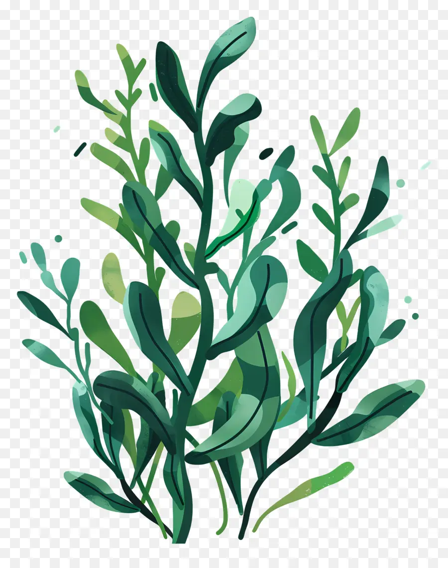 Les Algues，Feuilles Vertes PNG