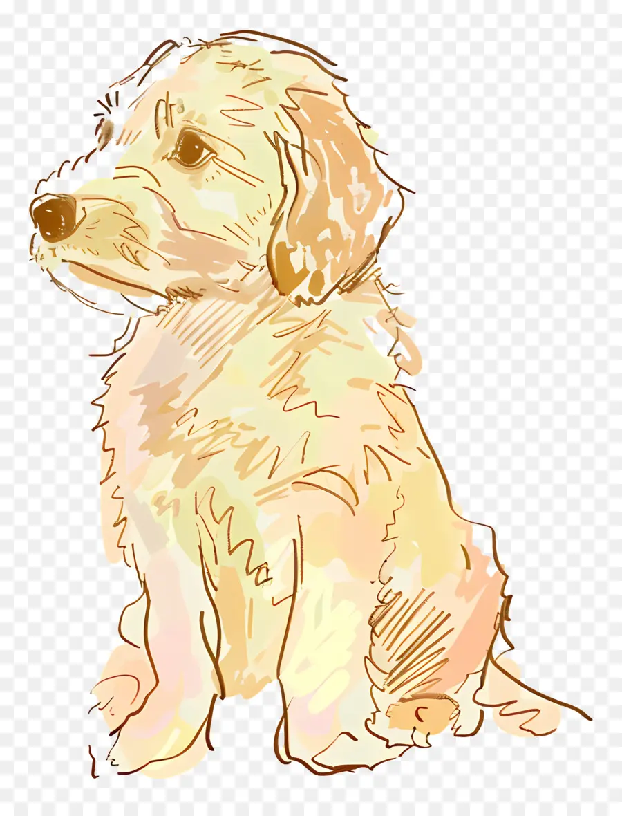 Doodle Chien，Chiot PNG