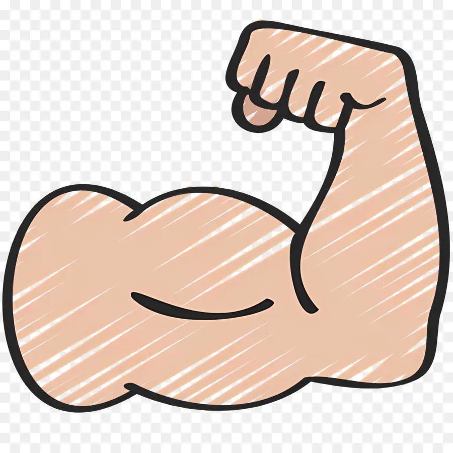 Muscle，Biceps PNG