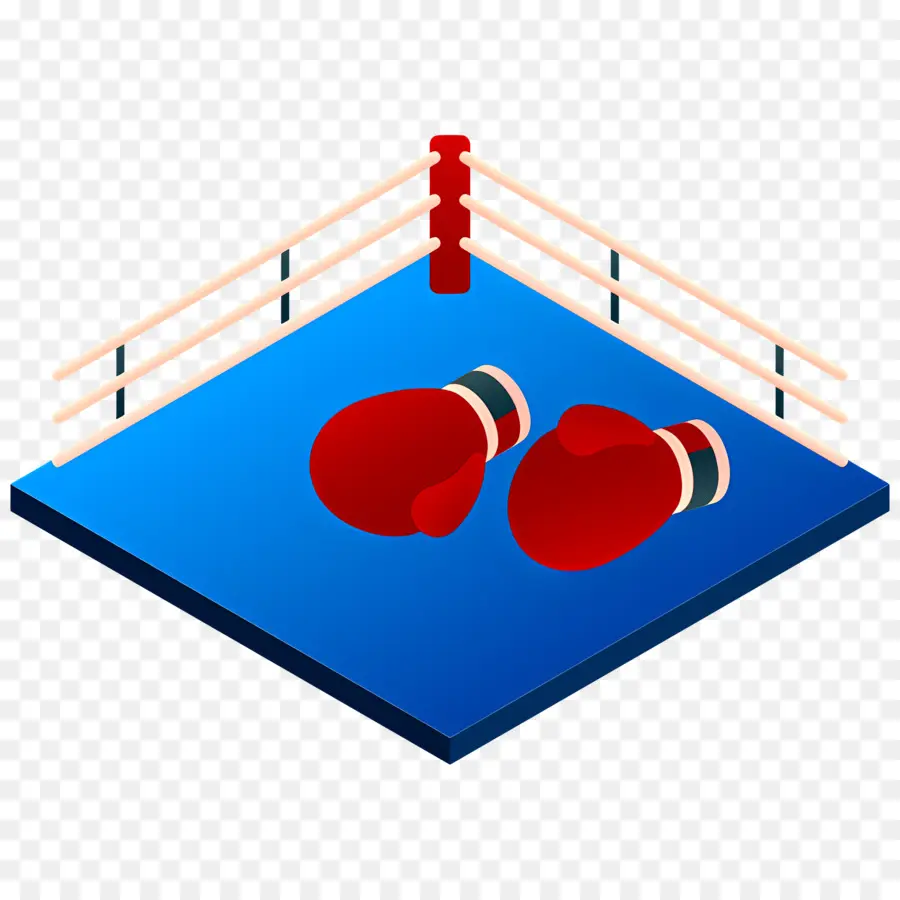 Terrain De Sport，Boxe PNG