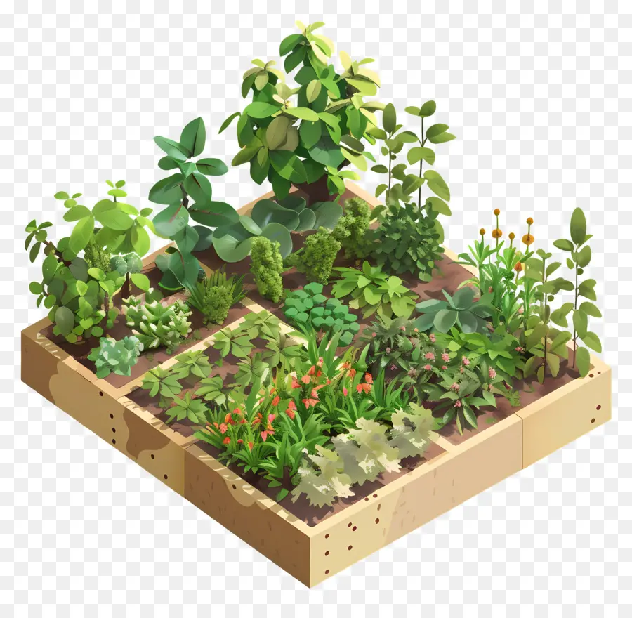 Jardin D'herbes Aromatiques，Petit Jardin PNG