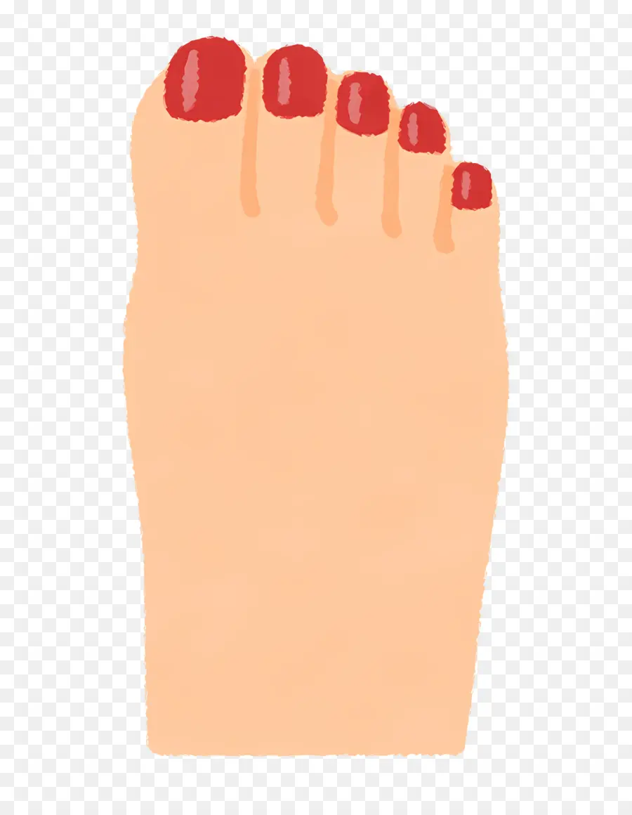 Pied，Des Ongles PNG