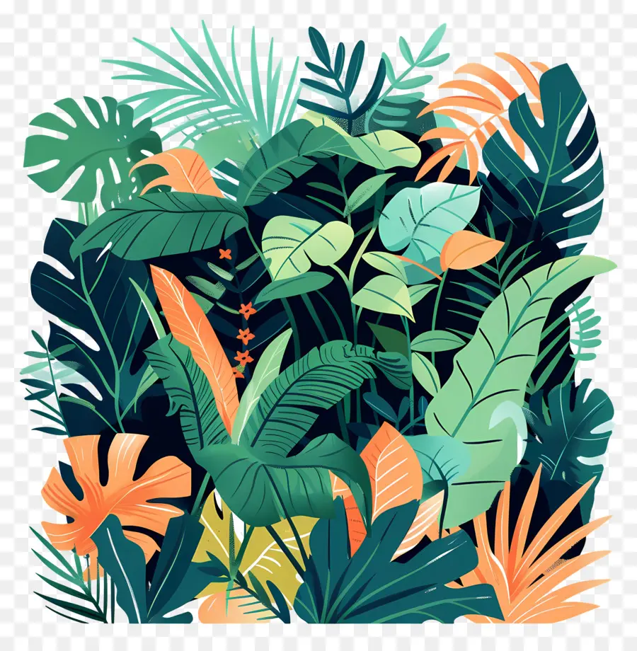Jungle，Plantes Tropicales PNG