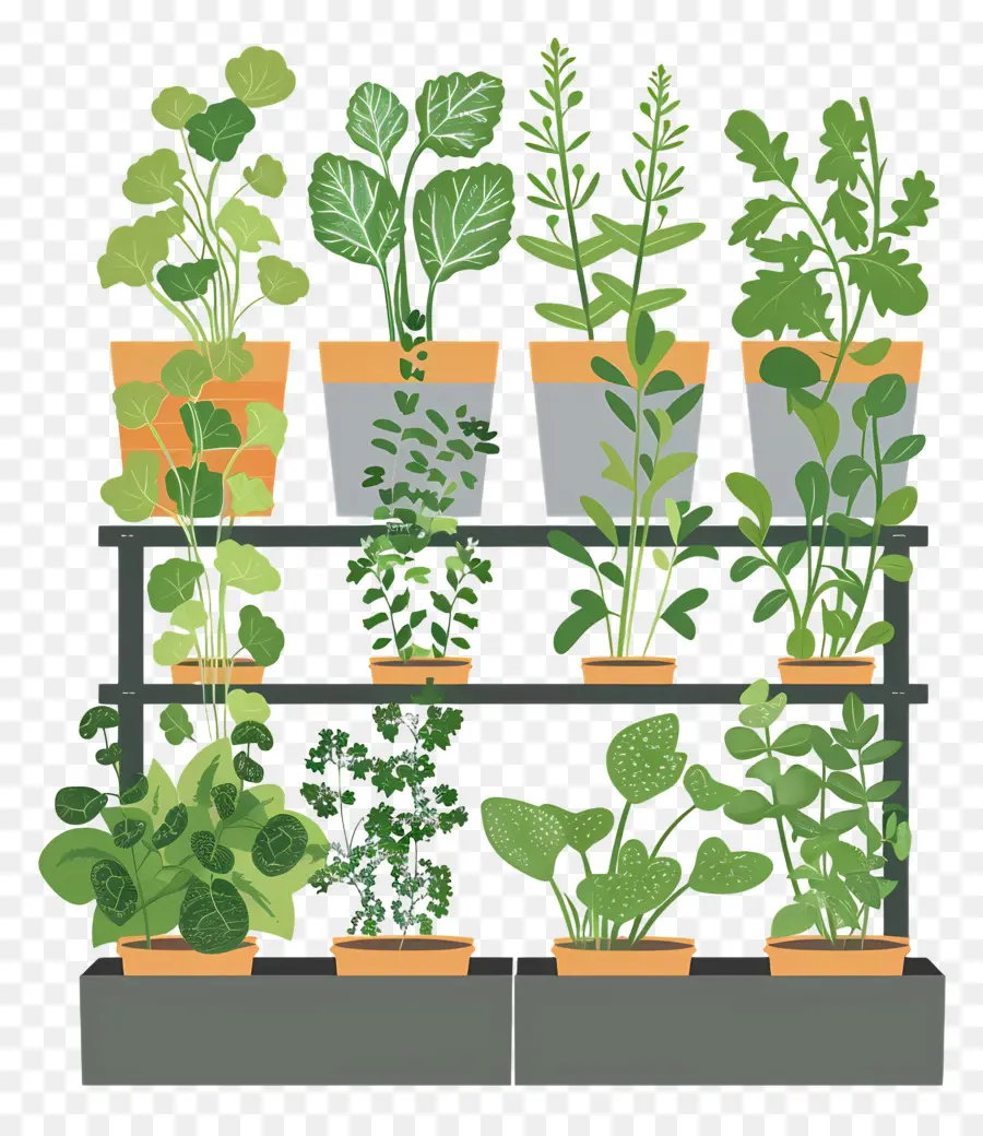 Jardin D'herbes Aromatiques，Les Plantes En Pot PNG