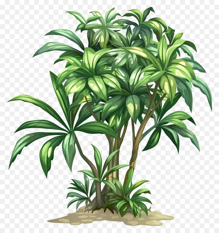 Arbuste Vert，Petite Plante PNG