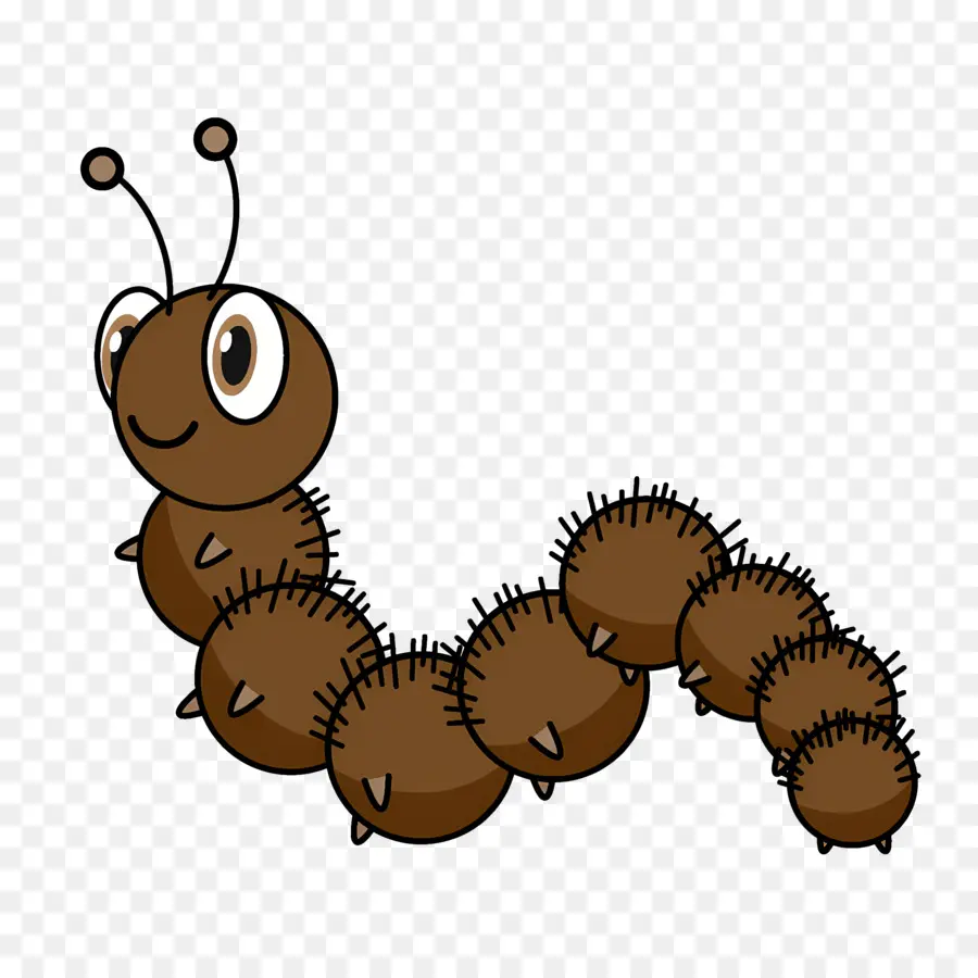 Dessin Animé Caterpillar，Dessin Animé Ver PNG