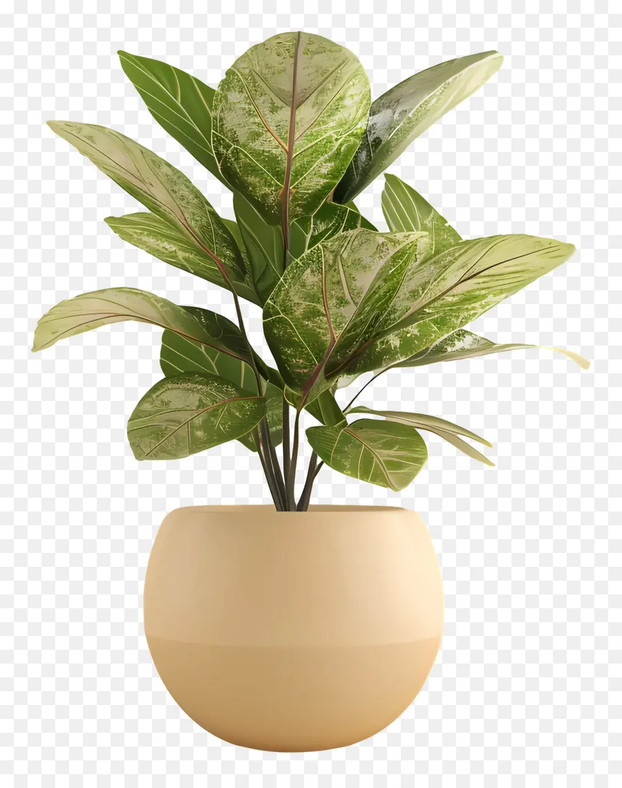 Plante Verte，Plante En Pot PNG