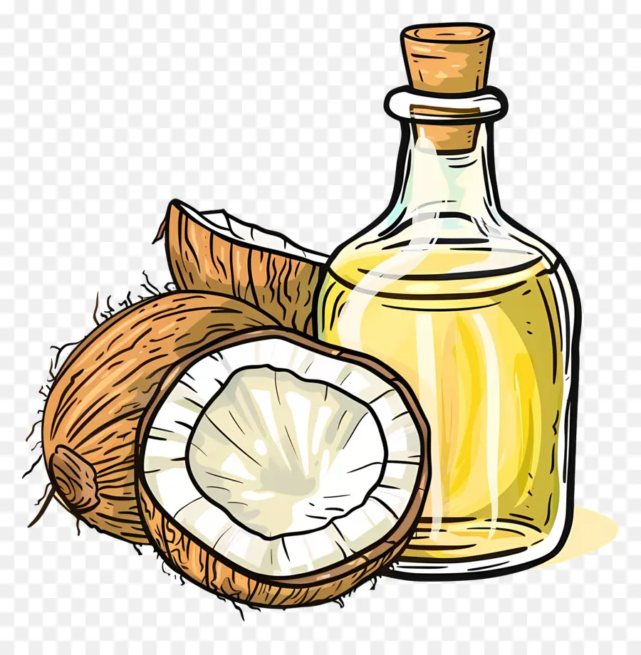 Huile De Noix De Coco，La Noix De Coco PNG