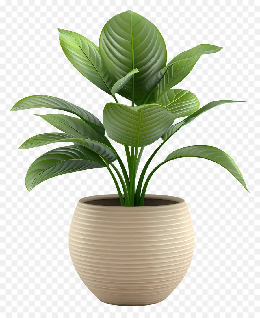 Plante Verte，Petite Plante En Pot PNG