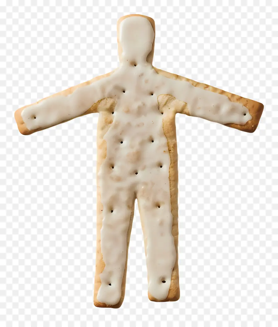 Biscuit Cuit Au Four，Cookie PNG