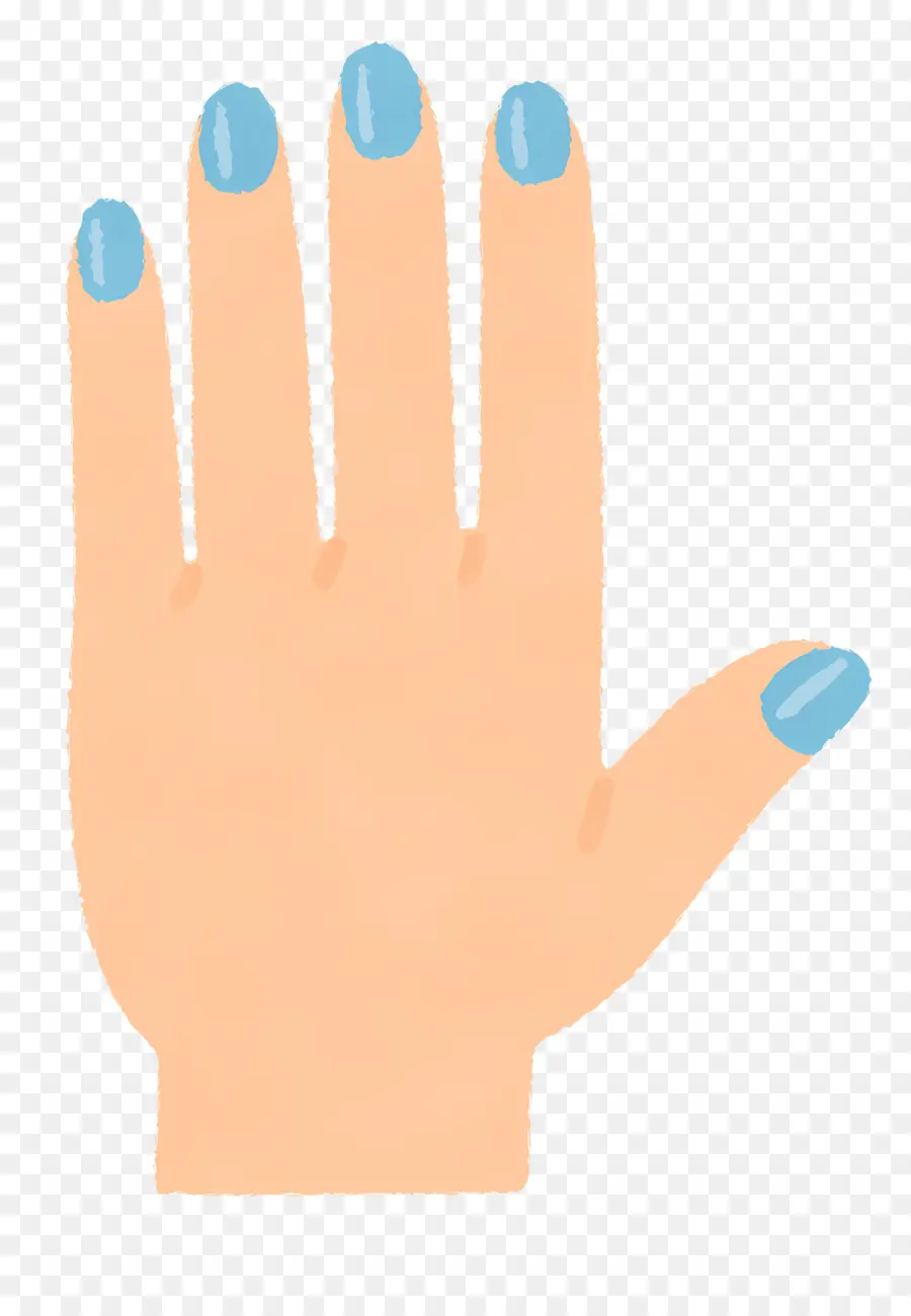 La Main，Des Ongles PNG