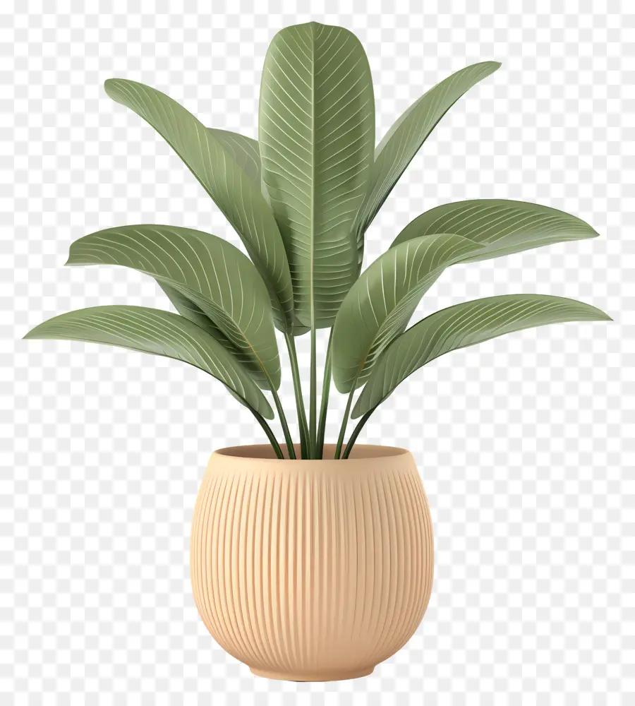 Plante Verte，Plante En Pot PNG