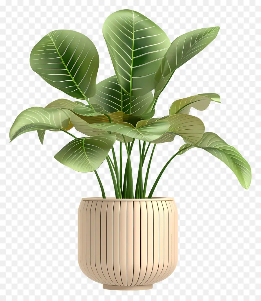 Plante Verte，Pot En Céramique PNG