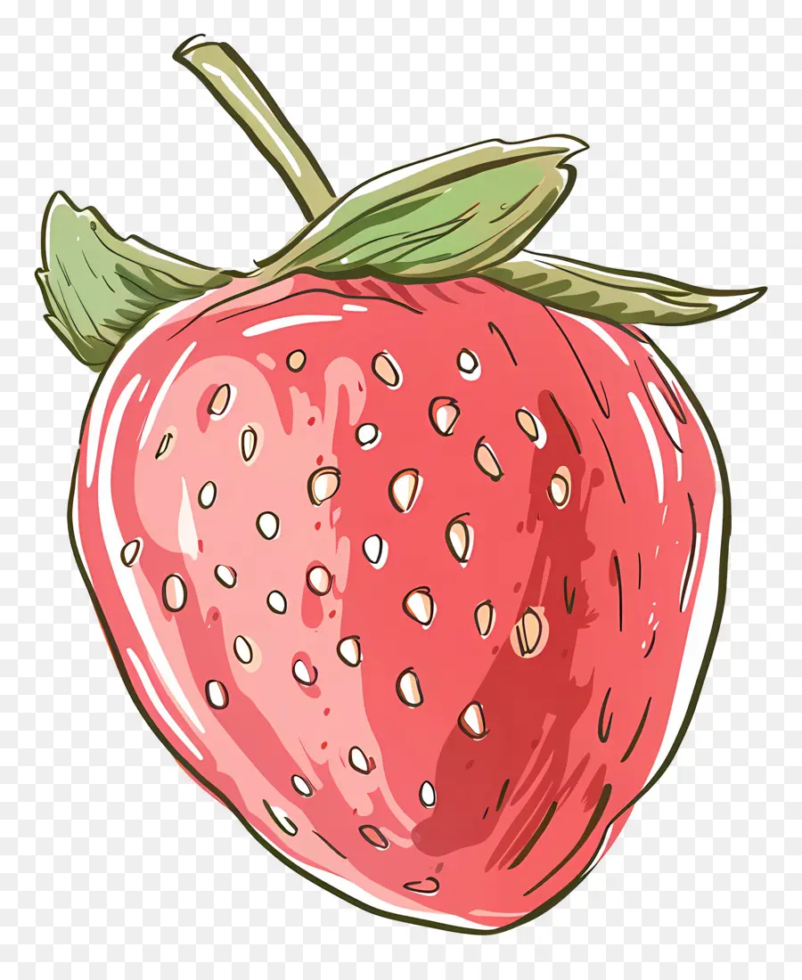 Doodle Aux Fraises，Fraise PNG