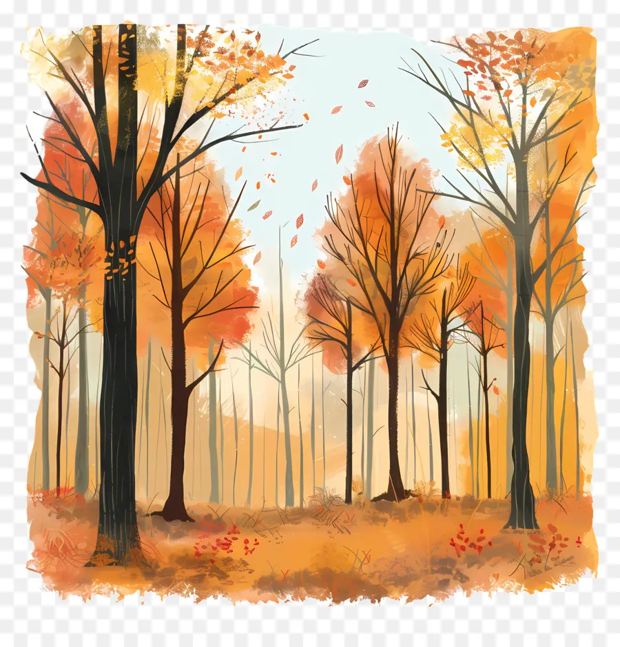 Forêt D'automne，Forêt D'automne PNG