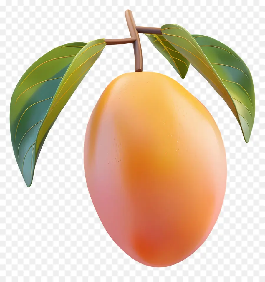 Doodle Mangue，La Mangue PNG