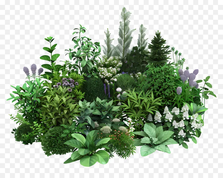 Jardin D'herbes Aromatiques，Jardin PNG