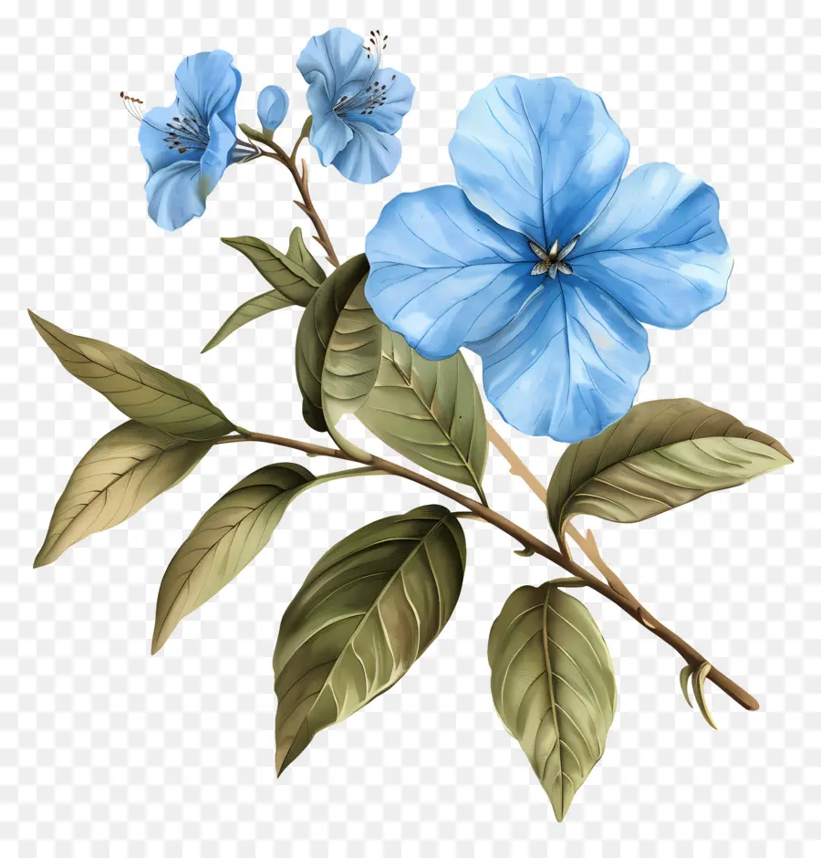 Fleurs Bleues，Peinture à L'aquarelle PNG