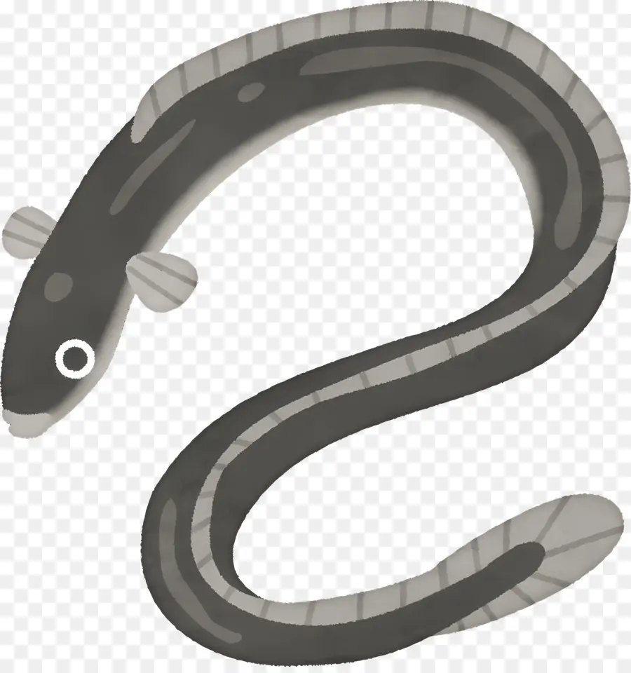 Dessin Animé De Poissons，Serpent PNG