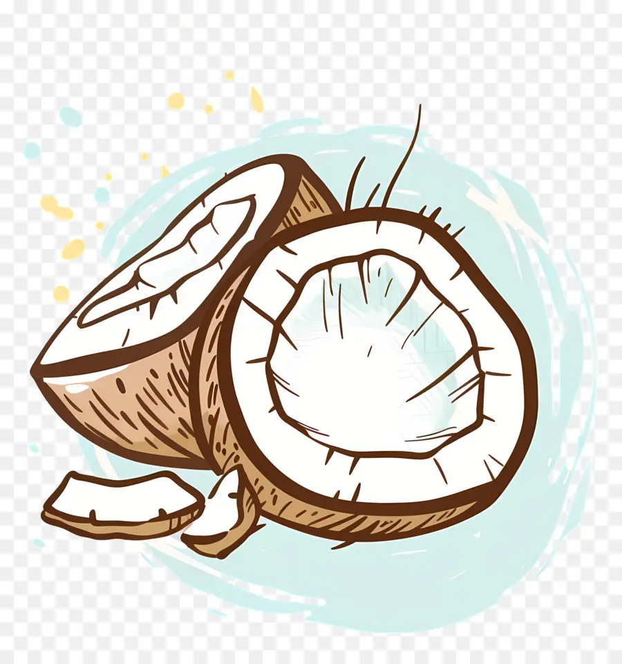 Huile De Noix De Coco，La Noix De Coco PNG