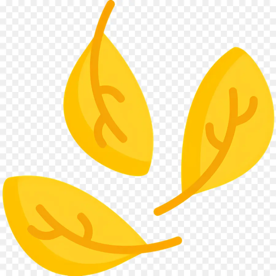 Les Feuilles De L'automne，Feuilles PNG