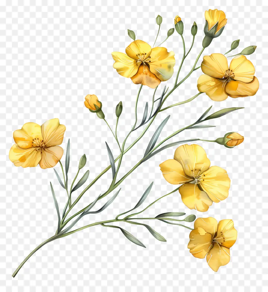 Fleurs Jaunes，Bouquet PNG