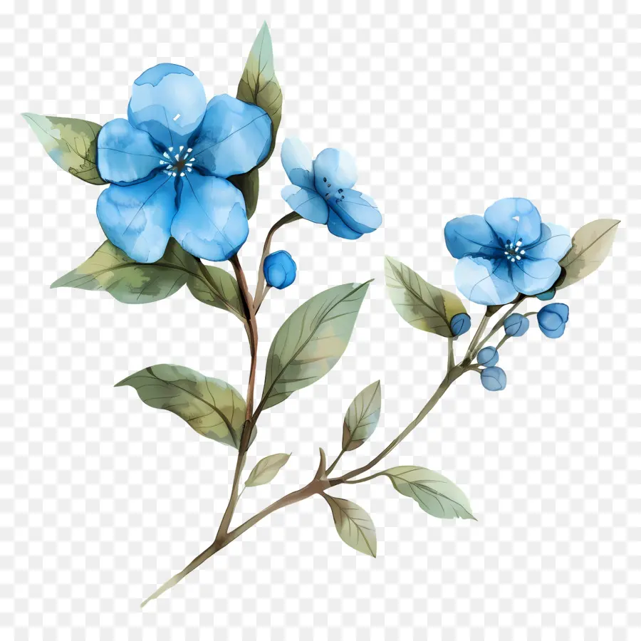 Fleurs Bleues，Peinture à L'aquarelle PNG