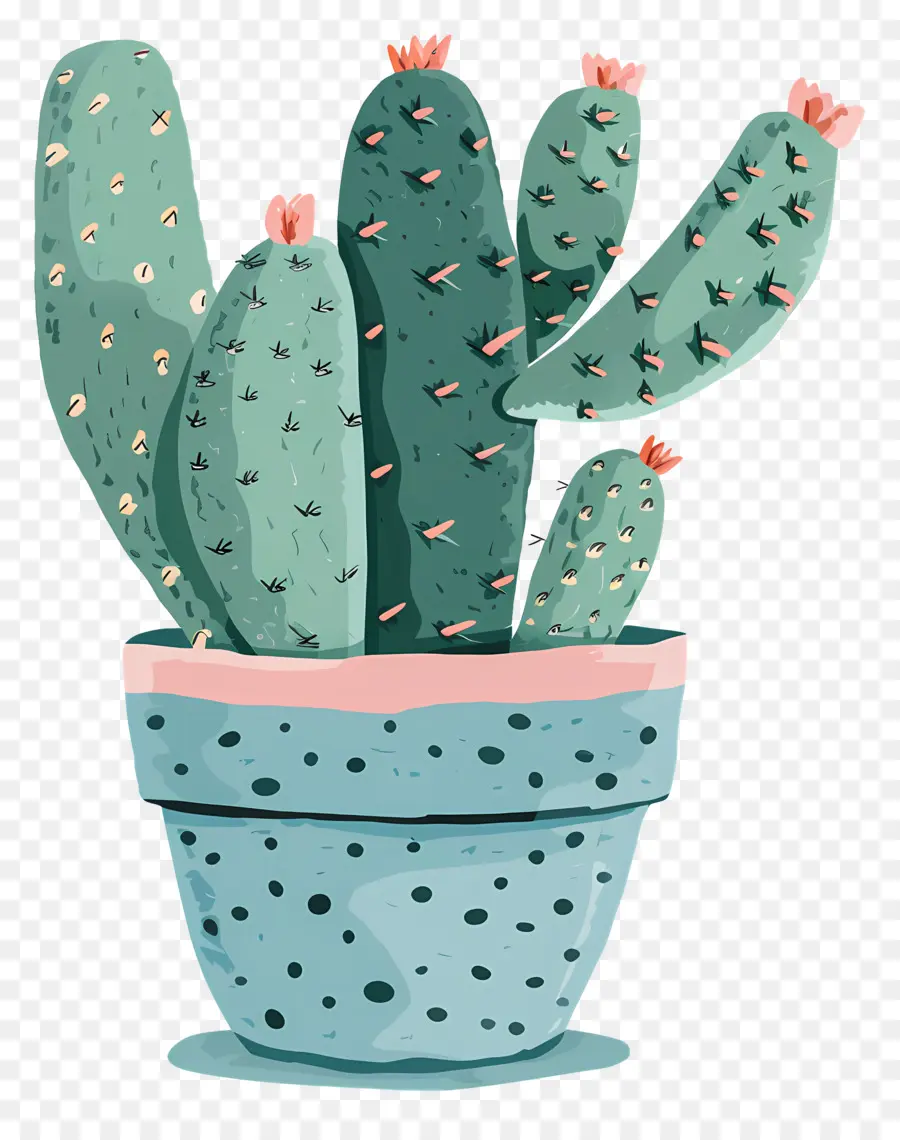 Pot De Cactus，Cactus PNG