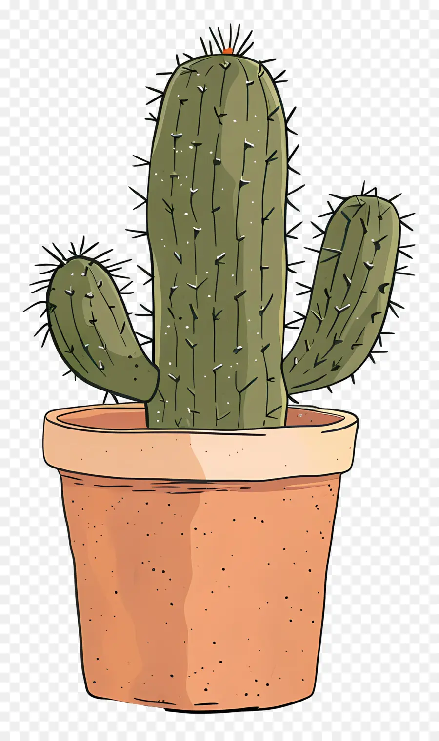 Pot De Cactus，Cactus PNG