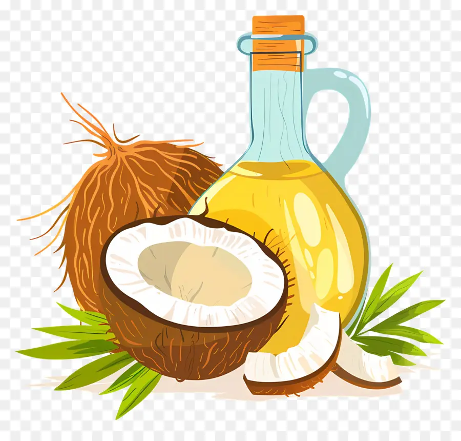 Huile De Noix De Coco，La Noix De Coco PNG