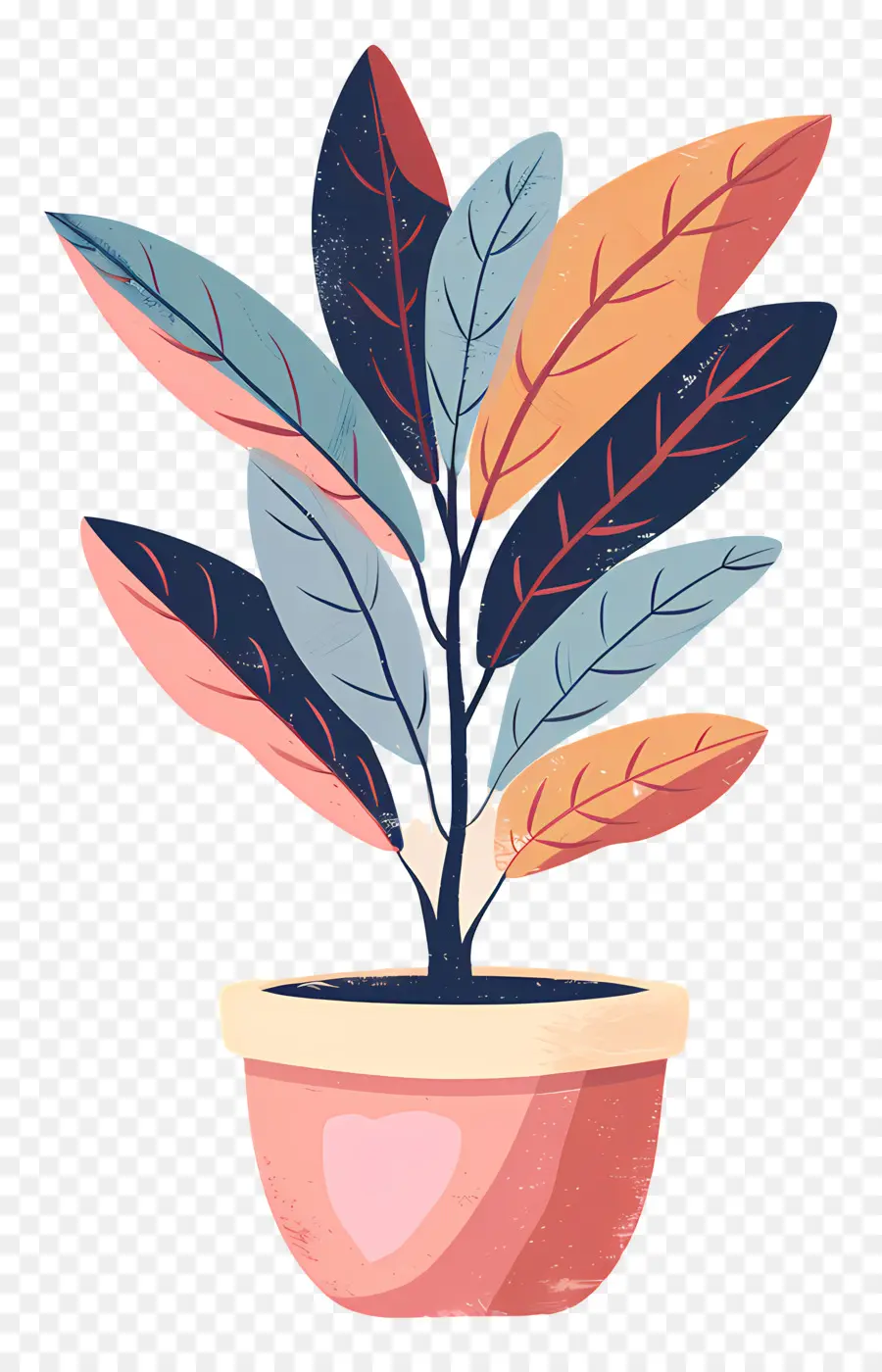 Usine De Stéphanie，Plante En Pot PNG